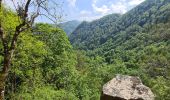 Trail Walking Metzeral - Sentier historique - Mittlach - Fischboedle - Photo 13