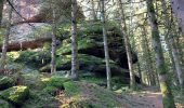 Tour Wandern Turquestein-Blancrupt - Saint Quirin le Kiboki - Photo 2