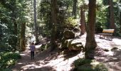 Randonnée Marche Ottrott - mont ste Odile mur païen Sud - Photo 1