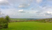 Trail Walking Theux - la reid . vert buisson . charmille / variante  - Photo 16