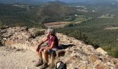 Trail Walking Biure - Castell Mont Roig nouvelle version - Photo 10