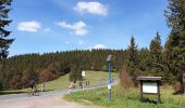 Tour Zu Fuß Unbekannt - Gipfelwanderweg Suhl (Thüringer Wald) - Photo 8