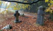 Tocht Te voet Malmedy - Mont Yellow Cross - Photo 2