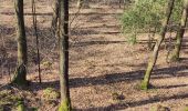 Randonnée Marche Durbuy - Heyd avec le chemin des crêtes  - Photo 17