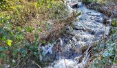 Trail Walking Bouillon - Rochehaut 110124 - Photo 13