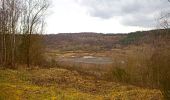 Tour Zu Fuß Messel - Rundwanderweg Messel 2: Ölschiefer-Weg - Photo 4