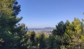 Tocht Stappen Toulon - Tour de l'Hubac Faron - Toulon - Photo 1