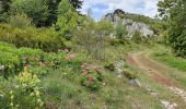 Trail Walking Andon - CASTELLARS - Photo 2