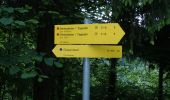 Trail On foot Elsbethen - Kinder-Wagen Wanderung Glasenbach-Klamm - Photo 4