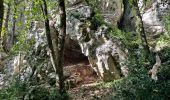 Excursión Senderismo Berrias-et-Casteljau - Presqu'ile de Casteljau, sentier de découverte - Photo 3