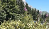 Tour Wandern Servoz - lac Vert,le chatelet,chalets de souay,Ayeres pierreries - Photo 10