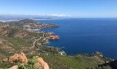 Randonnée Marche Saint-Raphaël - Autour des Pics du Cap Roux  et d'Aurelle depuis Belle Barbe - Photo 6