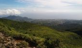 Trail Walking Saint-Claude - La Soufrière - Photo 5