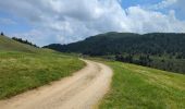 Percorso Marcia Luson - Lüsner Alm - Rastnerhütte - Photo 5