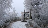 Trail Walking Theux - dans le givre de Crambon  - Photo 4