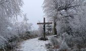 Tocht Stappen Theux - dans le givre de Crambon  - Photo 4