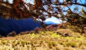 Randonnée Marche Le Caire - Vallée de Vermeil et Rocher Roux - Photo 11