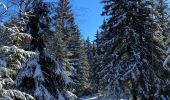 Percorso Racchette da neve Vaulnaveys-le-Haut - Lac Achard - Photo 20