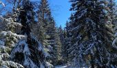 Randonnée Raquettes à neige Vaulnaveys-le-Haut - Lac Achard - Photo 20