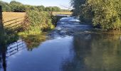 Trail Walking Valorbiquet - St Cyr du Ronceray  - Photo 9