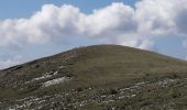 Randonnée Marche Valouse - mielandre par le col de valouse  - Photo 13