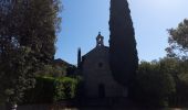 Trail Walking Carcès - La vallée de l'Argens-03-0621 - Photo 2