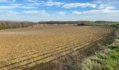 Tour Wandern Braine-l’Alleud - Bois seigneur Isaac  version splendide  - Photo 1