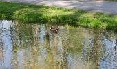 Tour Wandern Boulogne-Billancourt - Le bois de Boulogne - Photo 10