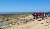 Trail Walking Saint-Pierre-d'Oléron - St Pierre 1205 - Photo 2