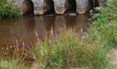 Tour Wandern Ladignac-le-Long - Ladignac le long les deux forêts  - Photo 1