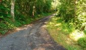 Tocht Noords wandelen Volvic - Le tour du Puy de Paugnat  - Photo 3