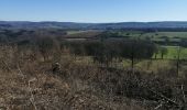 Tocht Stappen Ferrières - sy Barvaux  - Photo 10