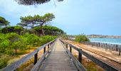 Tocht Stappen Calvi - Calvi Citadelle et plages - Photo 14