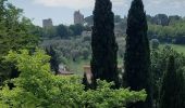 Tour Wandern San Gimignano - Pancolle / Colle val.d'Elsa - Photo 12