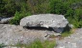 Randonnée Marche Lussan - PF-Lussan - La Lèque,le menhir,les Concluses - Photo 11