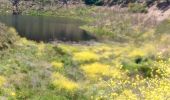 Randonnée Marche Bormes-les-Mimosas - babaou René  - Photo 6