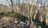 Excursión Senderismo Houffalize - ollomont . Le herou . les ondes . Le chesle . podri les ecwarais . ollomont  - Photo 14