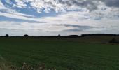 Tour Wandern Bouillon - Curfoz- moulin de l'épine-Curfoz - Photo 11