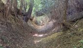 Trail Walking Saint-Pierre-en-Auge - Le Billot  - Photo 1