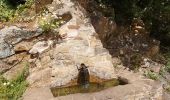 Trail Walking Laroque-des-Albères - Circuit des 2 fontaines - Photo 9