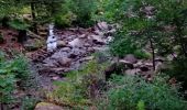 Trail Walking Le Tholy - cascades et hêtre de la vierge  - Photo 13