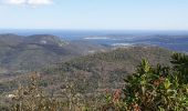 Tocht Stappen La Garde-Freinet - La Garde Freinet - Photo 2