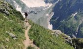 Tocht Stappen La Chapelle-en-Valgaudémar - Gio errne Lauzon pigeon9 - Photo 1