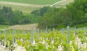 Tour Elektrofahrrad Chablis - Chablis Vaucoupin Gérard 21052023 - Photo 6