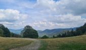 Trail Walking Rombach-le-Franc - Col de Schlingoutte - Photo 9
