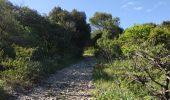 Trail Walking Rouet - les falaises de l'hortus - Photo 1