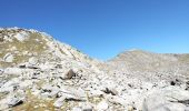 Tour Wandern La Léchère - les marmottes noires et Bellacha  - Photo 7