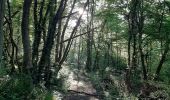 Trail Walking Barizey - Bourgogne à pied - Photo 1