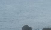 Trail Nordic walking Sainte-Anne - Fond grand ma  modette le littoral  - Photo 9