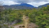 Trail Walking Cochrane - Confluencia ríos Baker y Neff - Photo 10